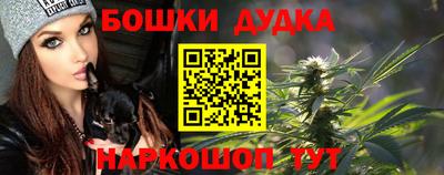 мдпв Партизанск